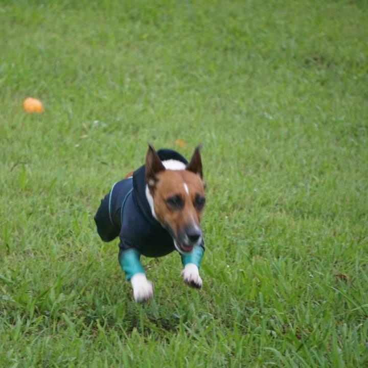 Afdc4c55 9249 4a03 bfd2 f36e32ea778f