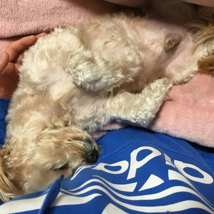 Afdc55d4 0a73 49f7 aa01 f766d5d542c6