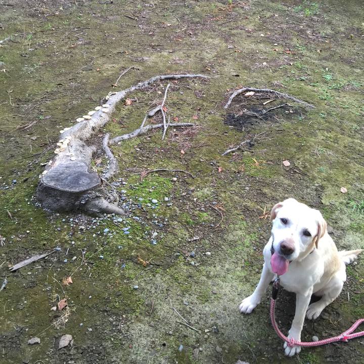 Afdd5360 5c1a 4c03 8aa7 99cab5804a89