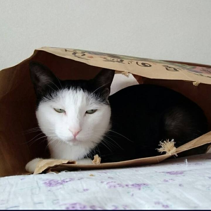 Afdd5477 8850 4166 92a4 12c49e0bbb59