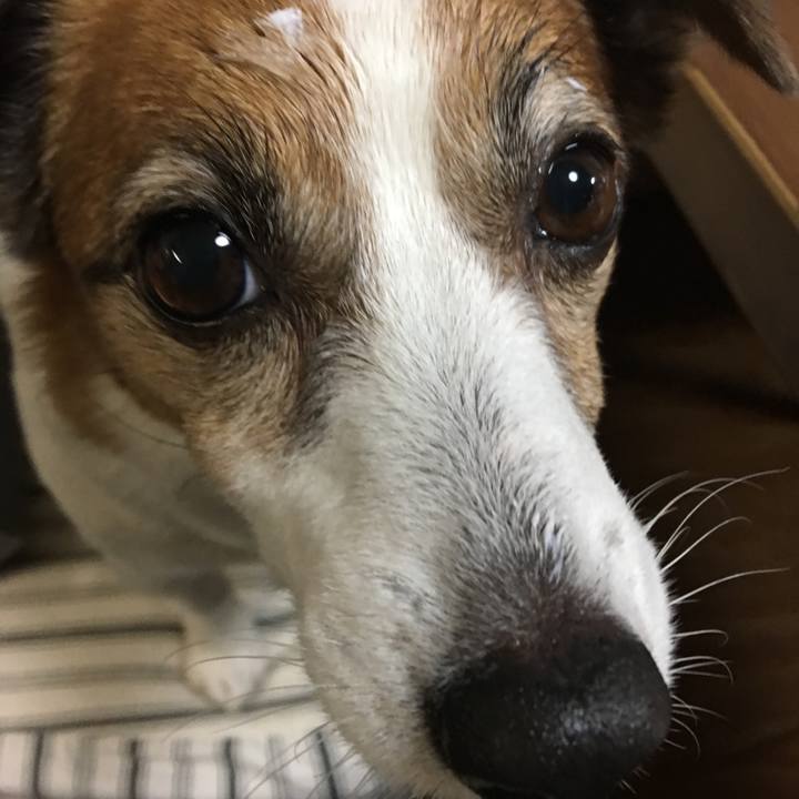 Afdd91fb 166c 42c7 a476 fcc0139b4b33