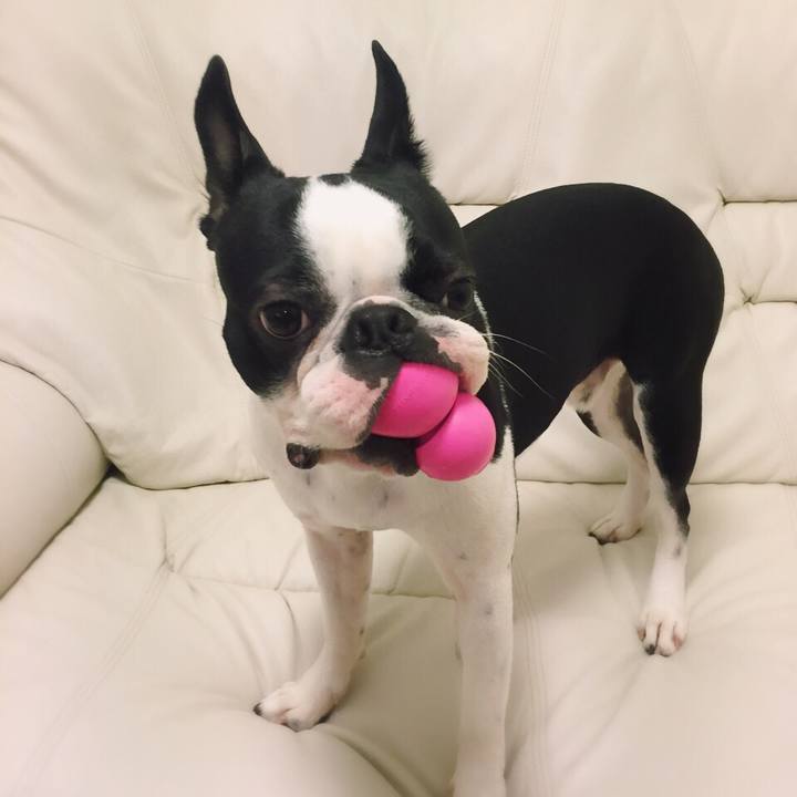 Afde08ed 86f1 45f3 aaeb 2a9ec3cf0c34