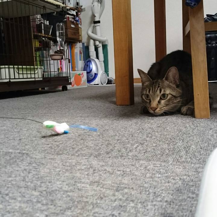 Afde7a21 f661 4e49 a0aa ebb748b719dc