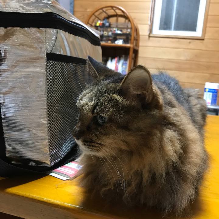 Afde83b2 499f 4330 b8ee 305a44709ddd