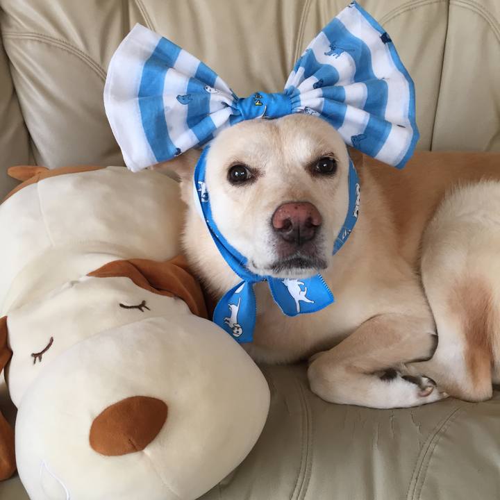 Afdefa1c c905 4fd5 8e78 a5da05987a0b