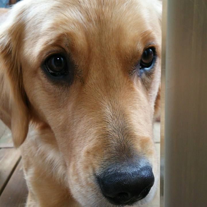 Afdefd22 024a 469f 88d2 a6dccb3ddf5d