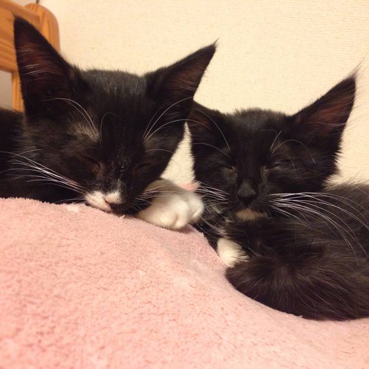 Afdf2fff c801 412a 9c49 6f1484c264aa