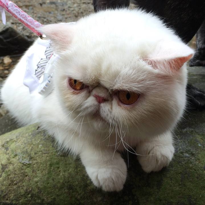 Afdf5ec2 7621 45b7 89bf da90deb9be32