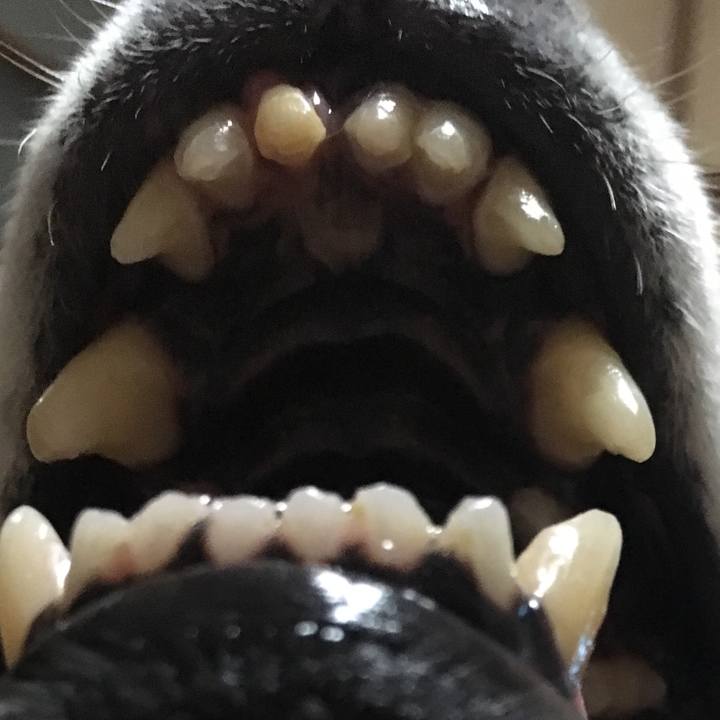 Afdf70e4 8f38 47bb 95f9 d79b067a9579