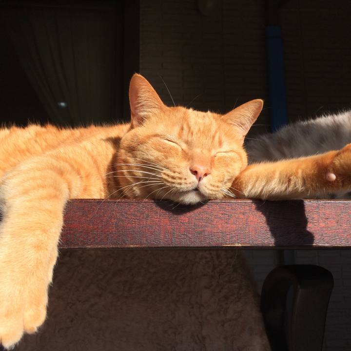 Afdf879b 423e 4366 b5eb 095476e2e38d