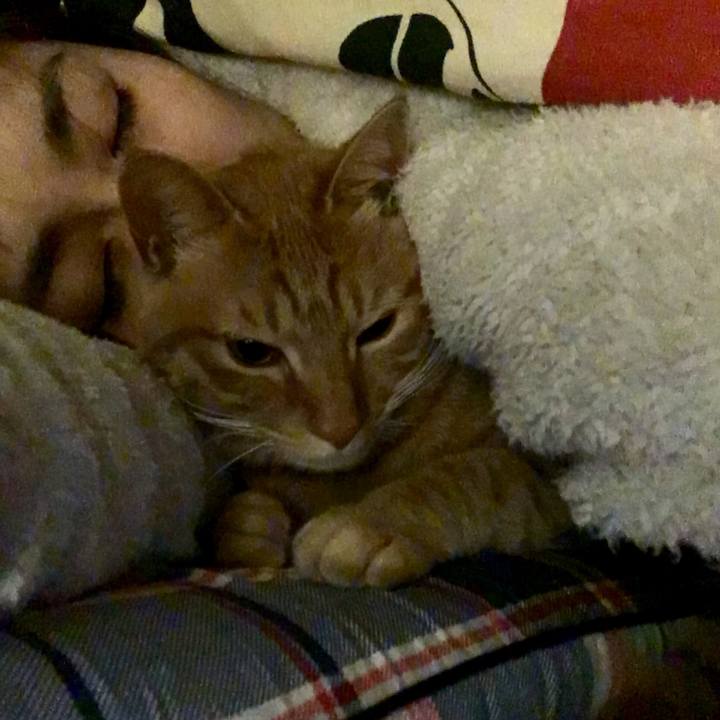 Afdfccb5 e512 4ac1 8c19 84d770f3575f