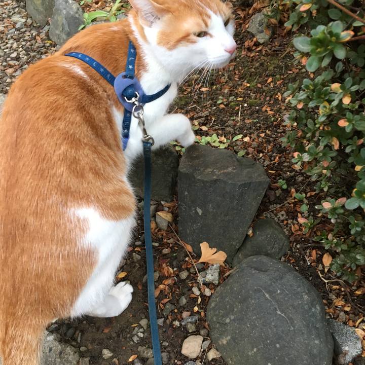 Afe17cff 99fe 4d76 8d47 0a6f54f2b6b3