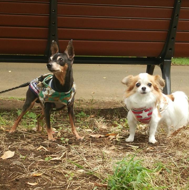 Afe1ce24 792a 4c73 a797 bff36a223c59