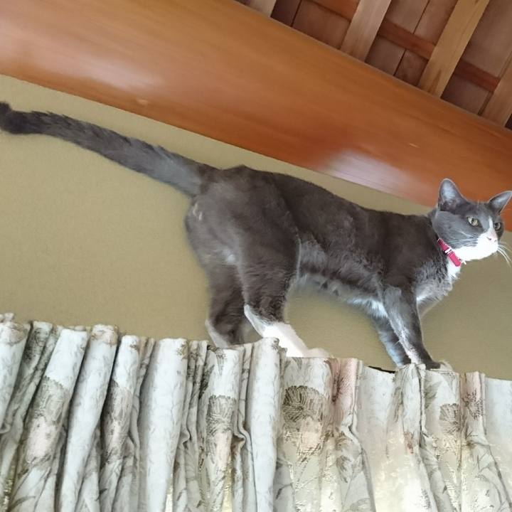 Afe2be4b 8d18 403b 8abe 3262932a037e