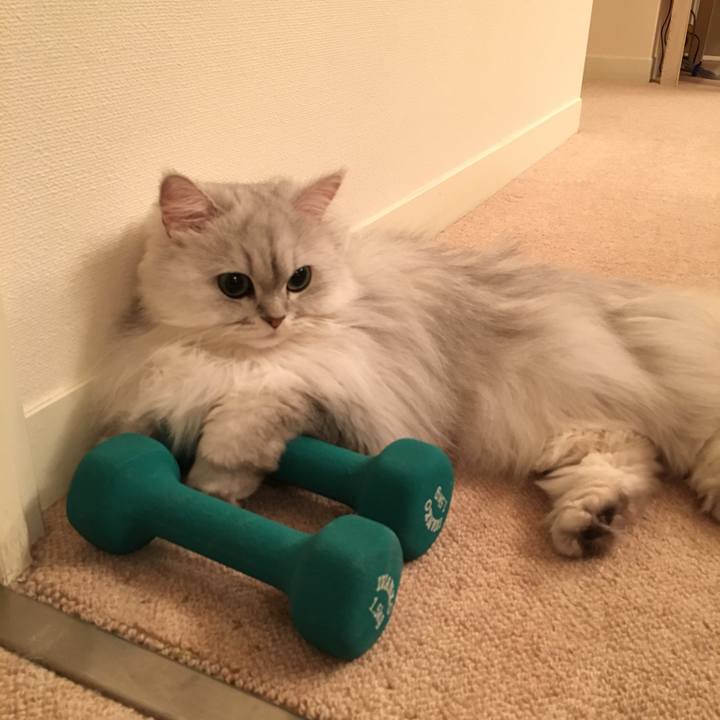 Afe321b4 a2e3 4a26 88dc 5331b3298af1