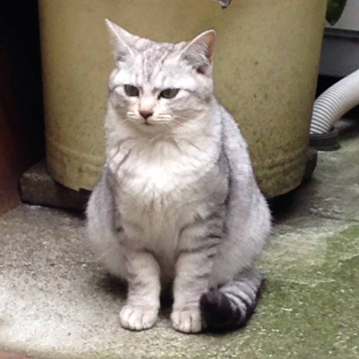 Afe40902 0f72 471a be55 e339483190ed