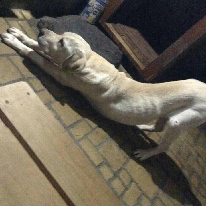 Afe45efa 0a47 4d98 b9c5 1f519c70e684