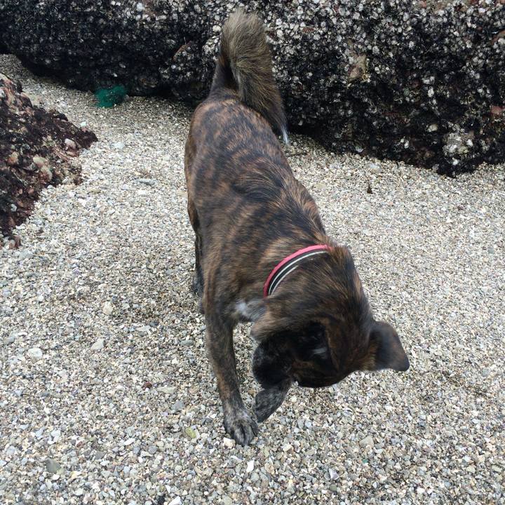 Afe4e794 59cc 4d2b 87f0 75cbf7b052d7