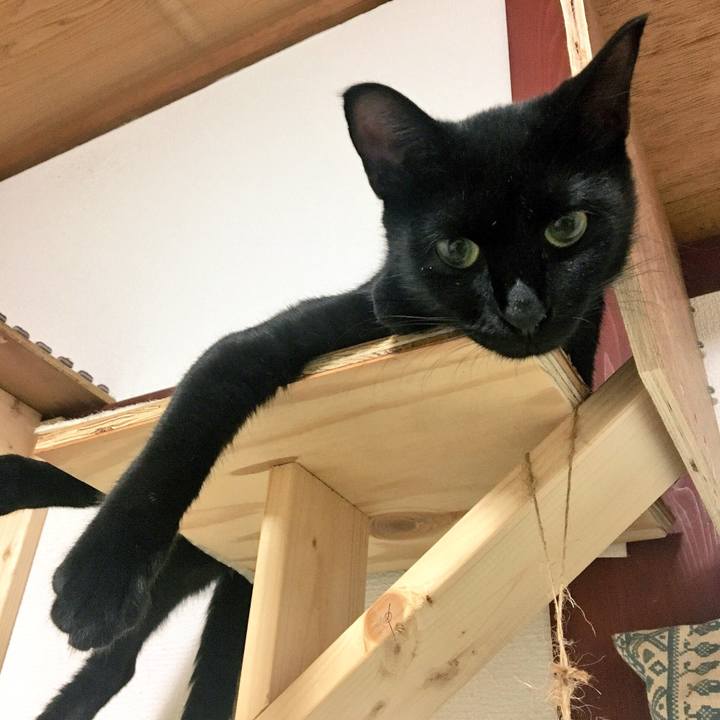 Afe52e1a b35a 4eef 875b 8536a1773855