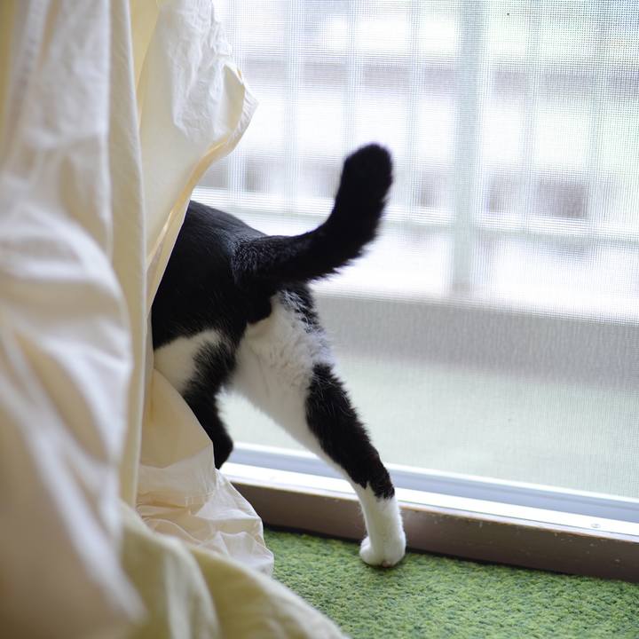 Afe6222c 10cc 4cc6 93e2 d08e3b98eb78