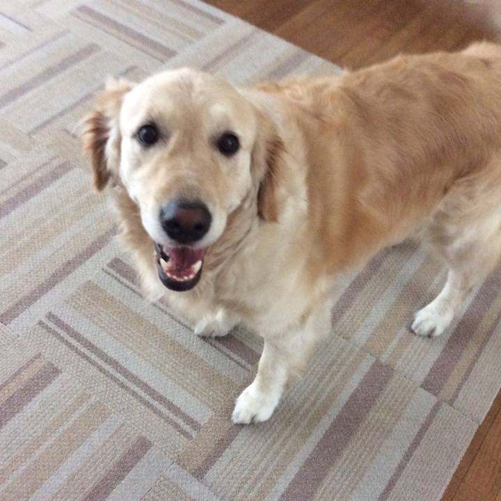 Afe63f47 6925 432c 9d27 9a125fbc1b96