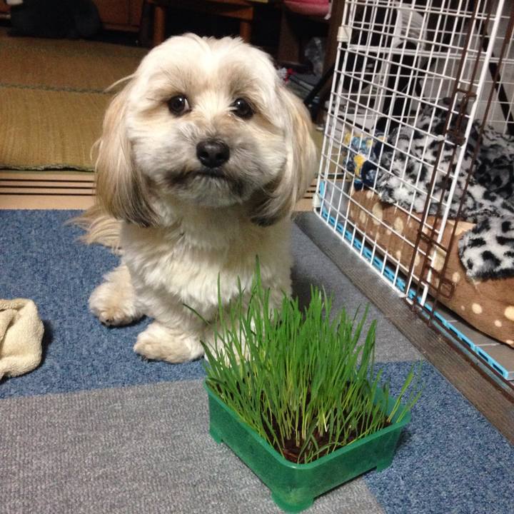 Afe67d82 0222 4127 a414 3917f9d02a13