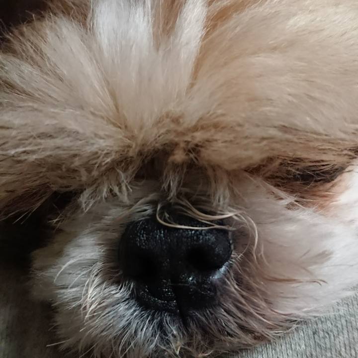 Afe719d5 f95e 4c1a a1e8 e5fcc739ee96