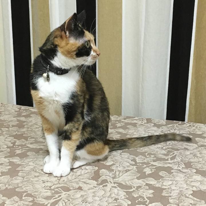 Afe79702 55b0 4efa 9153 d10eceec6ed5