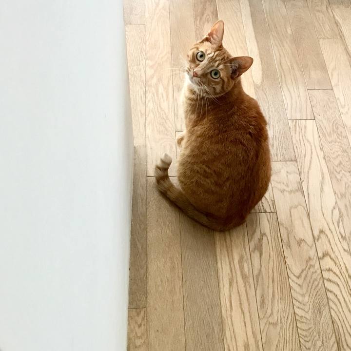 Afe7a130 eff5 452b 9c55 86b41f9c9f3f