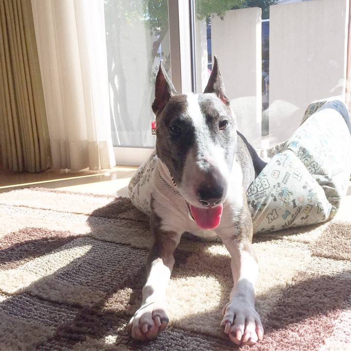 Afe7b89b 7ad1 431b bb33 ae6198f27d60