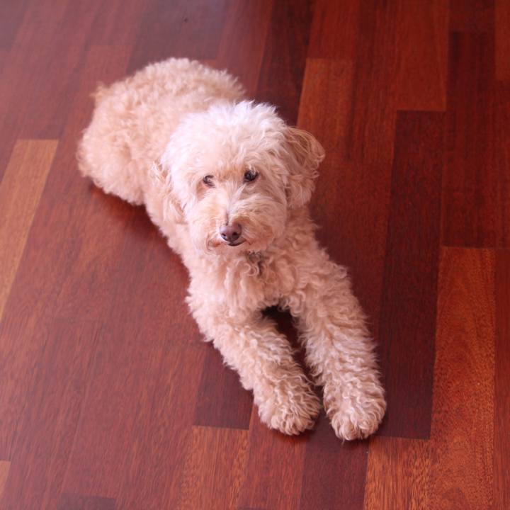 Afe7f73b 418d 4298 8dbb 590027daf908