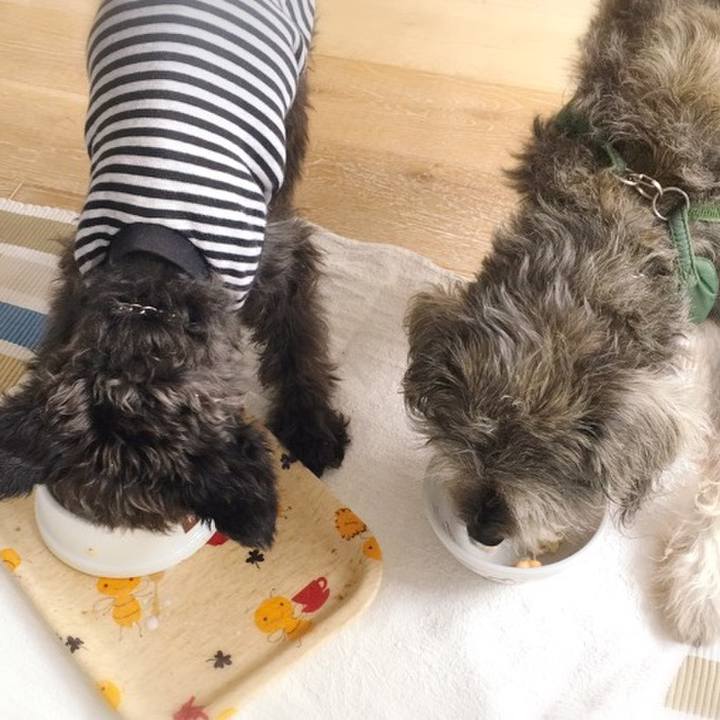 Afe8470a dc85 4c28 86cd 0df21a7b63df