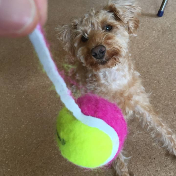 Afe89c43 da1b 4e8e ad13 cbeada28f066