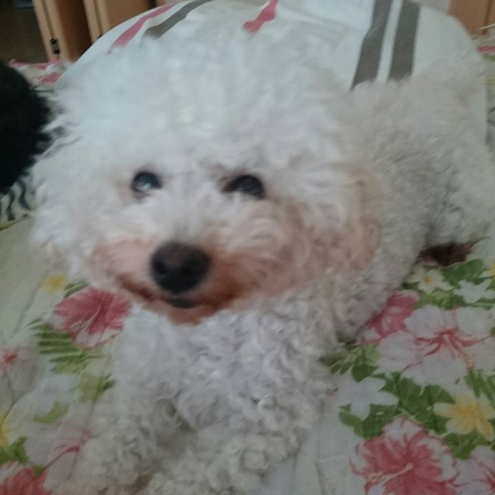 Afe8b5bb 7ca8 41a0 bed6 159b6ea74ad9