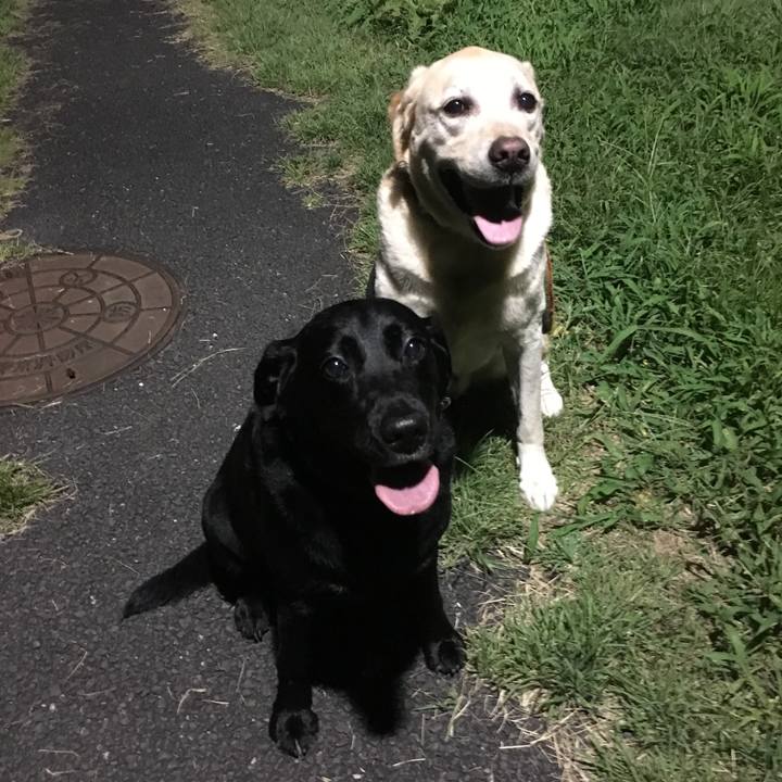 Afe91956 d5d6 44e1 bc13 95ef3e7f07a5