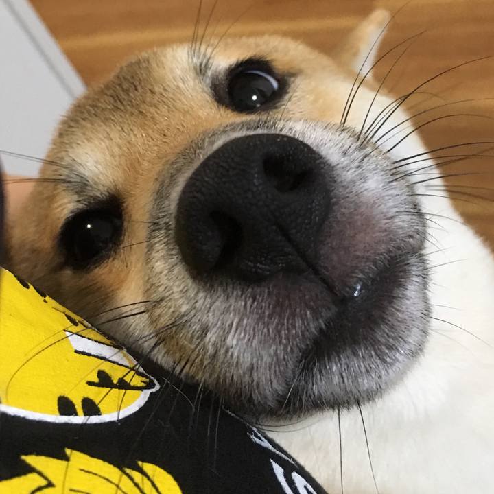 Afe9b615 c129 4388 8116 5caea79216f6