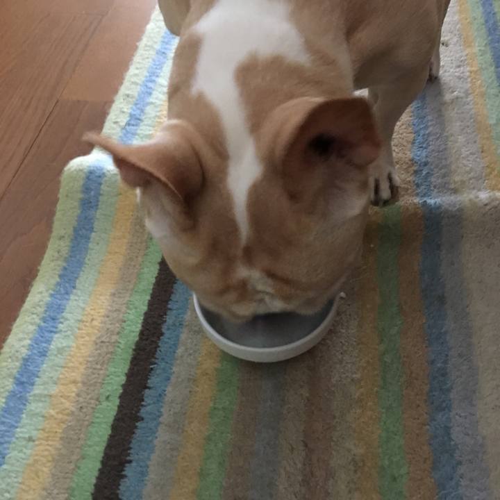 Afe9ff1e 8770 4d29 88aa d66e53184564