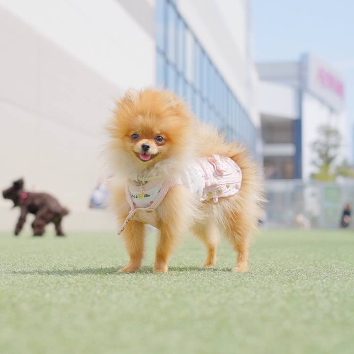 Afea06cb eb4e 4e44 8b80 5afdbed69d65