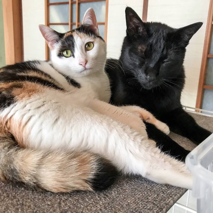 Afea9654 ec14 47ce a385 d3a61352c894