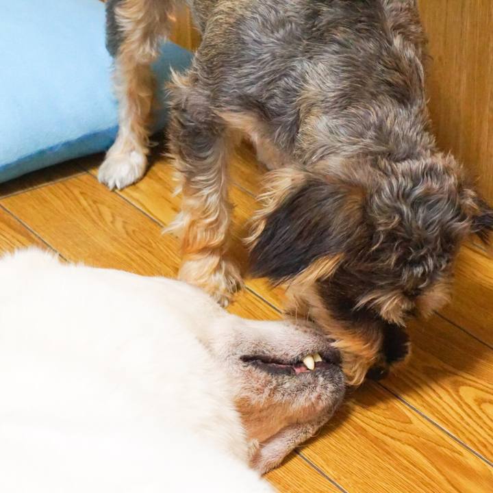 Afeaddc9 a024 4643 b616 81d63508010d