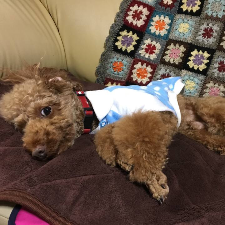 Afeade69 52dd 4dbc 9f01 3075fdb53954