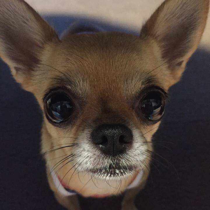 Afeb57fa daa9 4367 a902 d7288547af6a