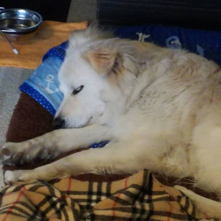 Afeb7d15 40c7 4233 93d5 7628ac5d4273