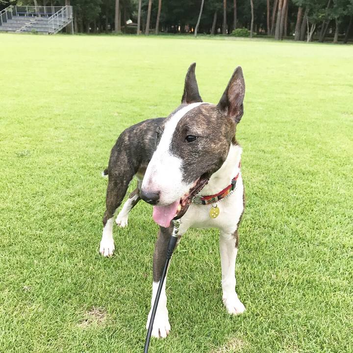 Afebf134 c4f4 446a 8370 9049f29fced4