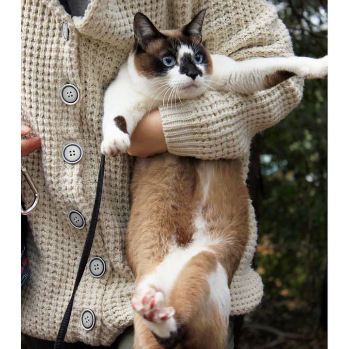 Afebf822 62ff 400e af3e 428d206e2c68