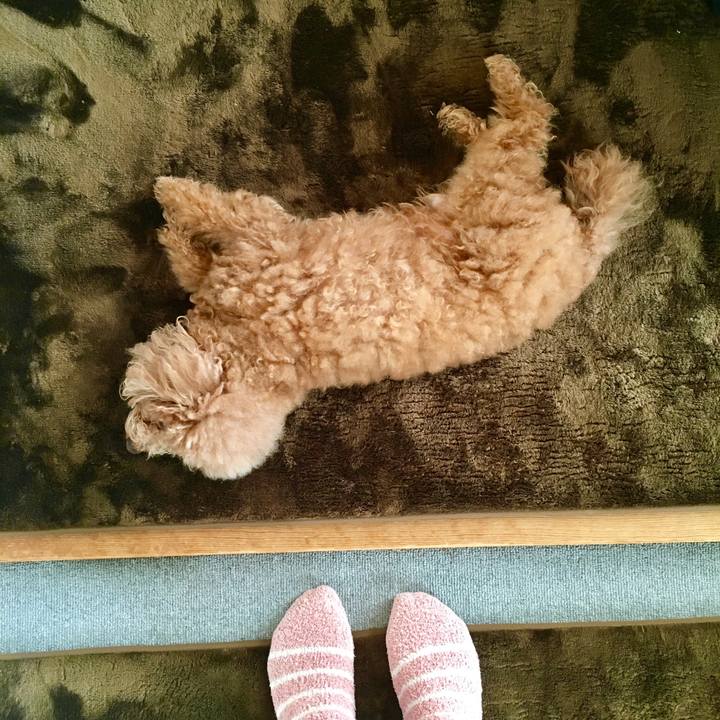 Afec1601 e53b 4022 b42a 593453b1a4a9