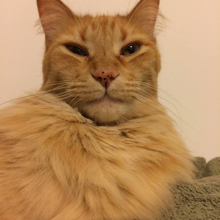 Afec5b7f 61d6 4c59 b567 d4091c4c39f5