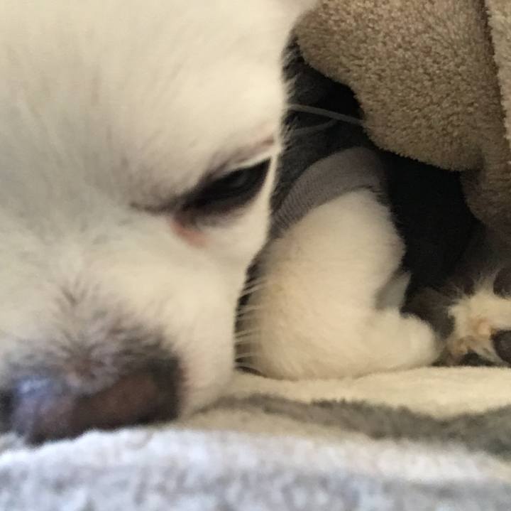 Afed66f0 f04c 463b 94a8 25ef9247f7b4