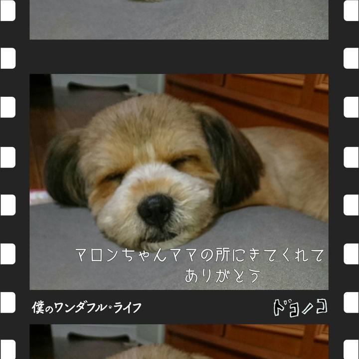 Afed99a9 dc2f 452d a698 014bedc3889f