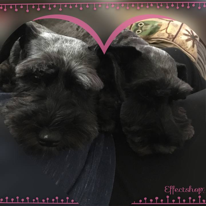 Afedc0b2 8dfd 4abc a1e6 fdd57a9a0c5c